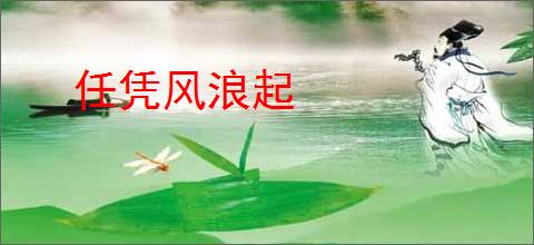 任凭风浪起