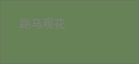 跑马观花