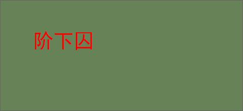 阶下囚