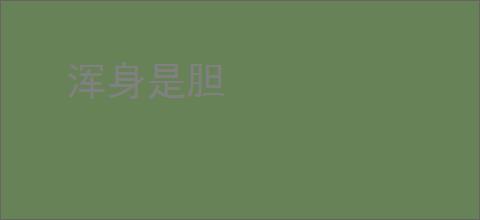 浑身是胆