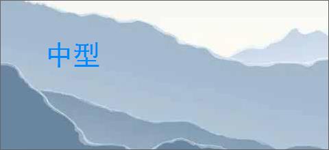 中型