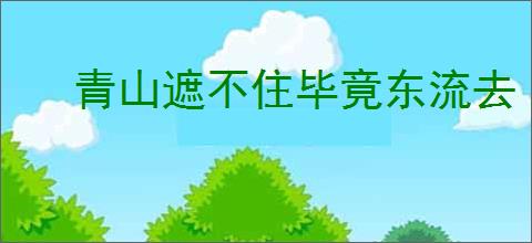 青山遮不住毕竟东流去
