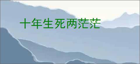 十年生死两茫茫