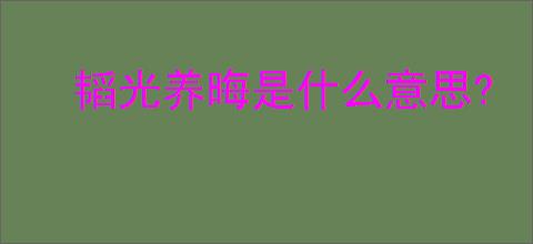 韬光养晦是什么意思?
