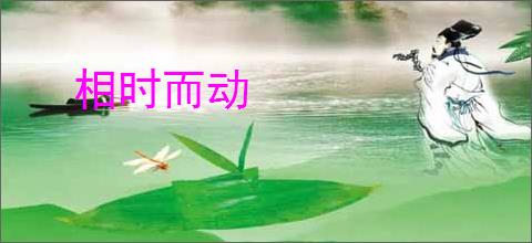 相时而动