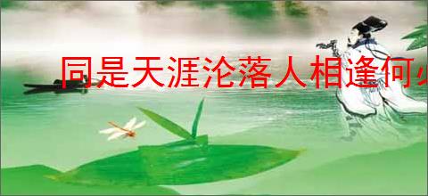 同是天涯沦落人相逢何必曾相识