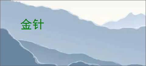 金针